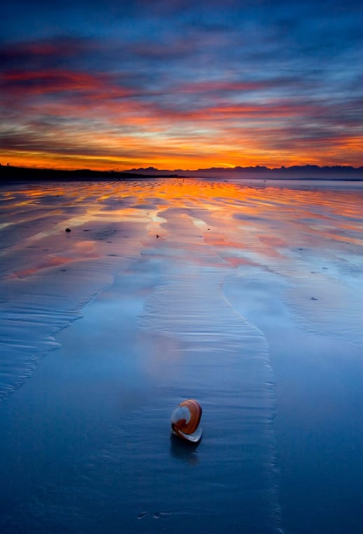 Small Craft Marine Survey Shell on Beach